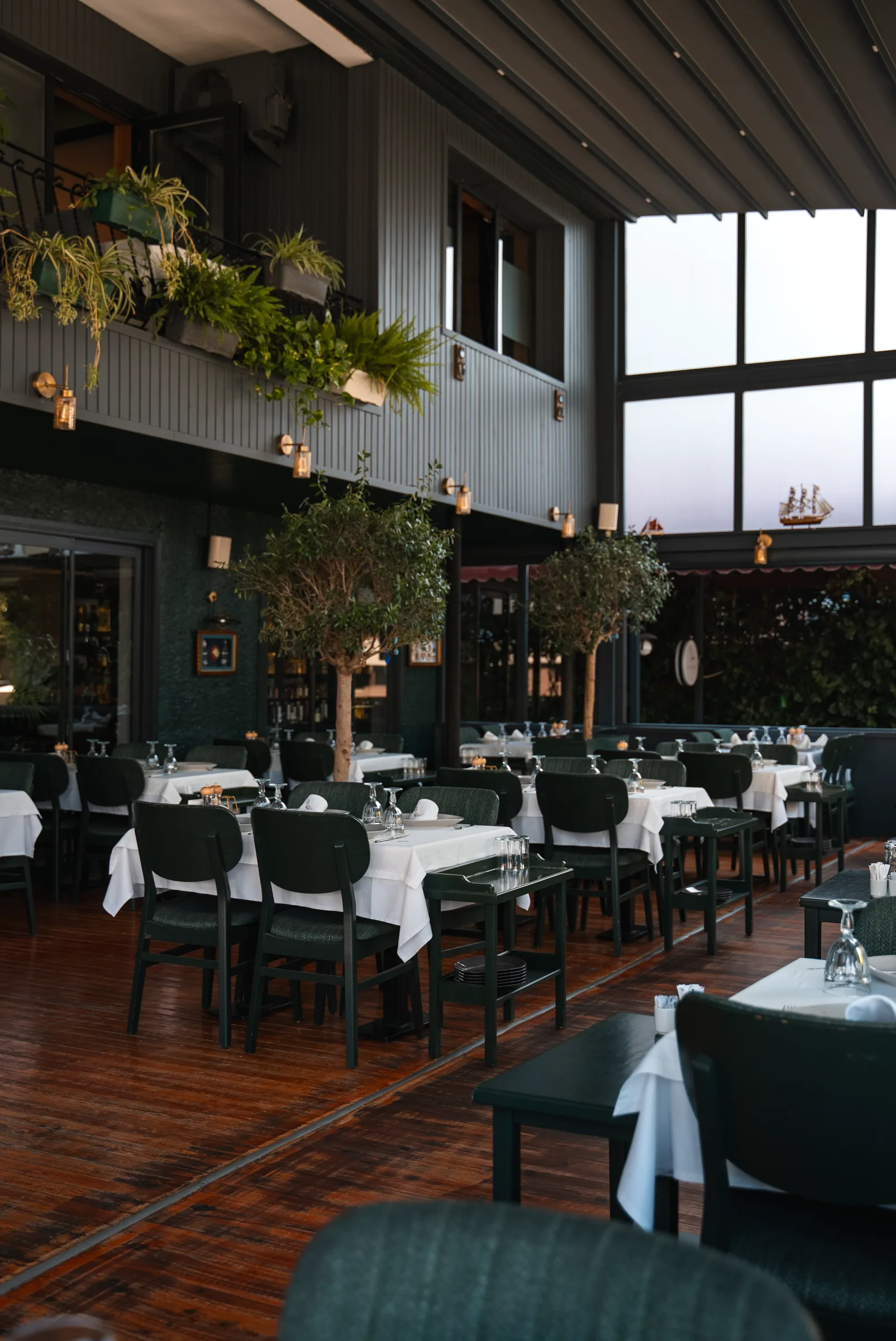 Zeytin ağaçlı teras salon — genel bakış